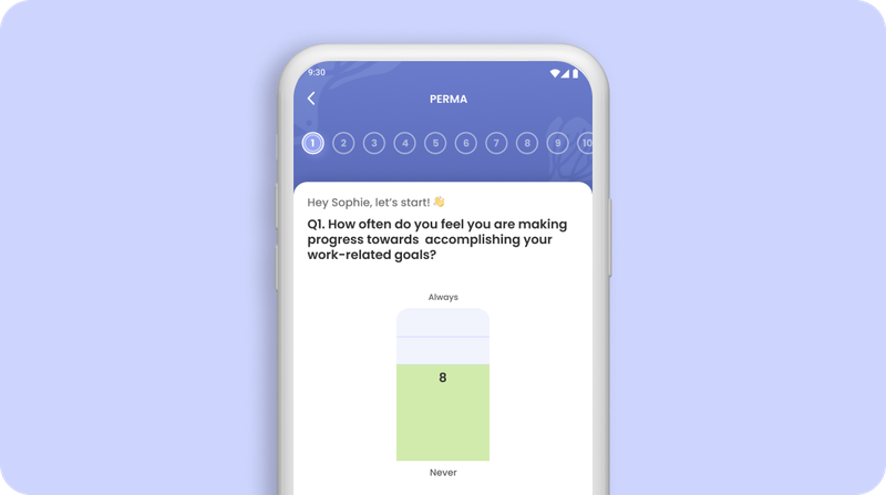 PERMA model of wellbeing
